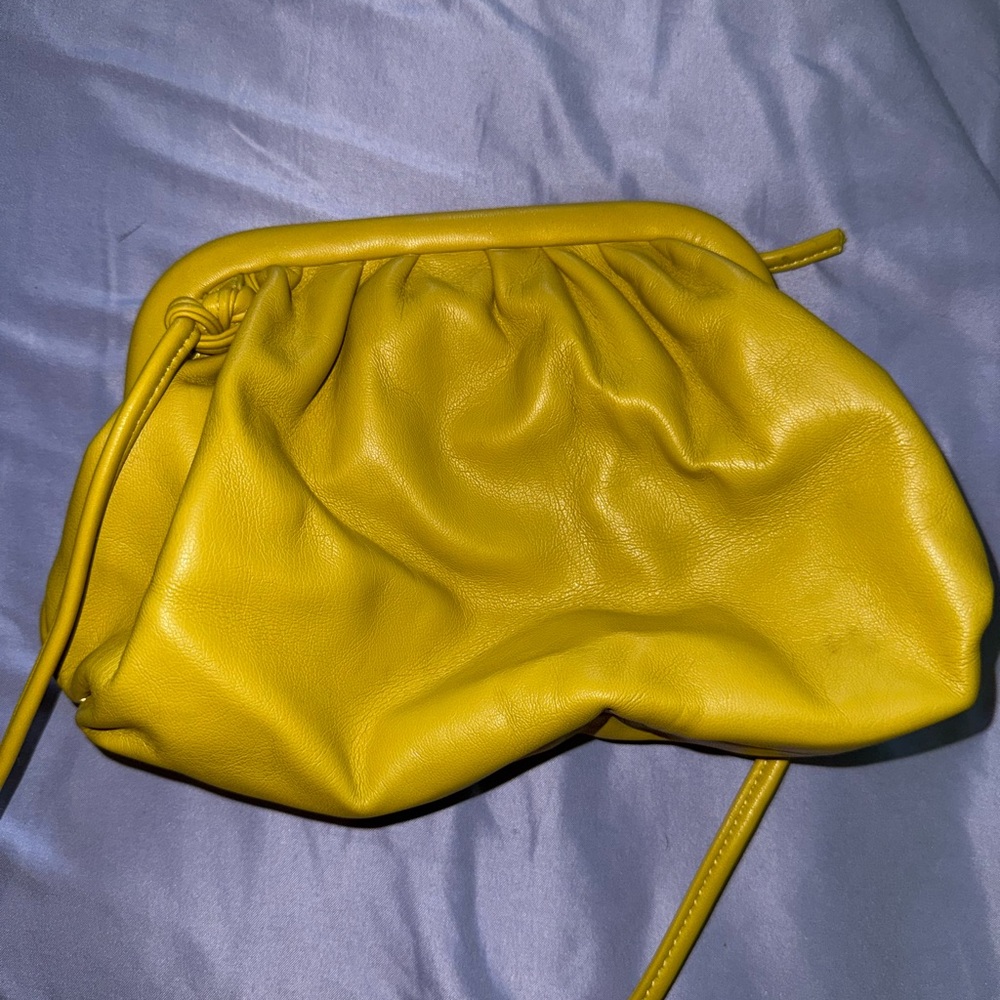 Steve Madden Dumpling Bag